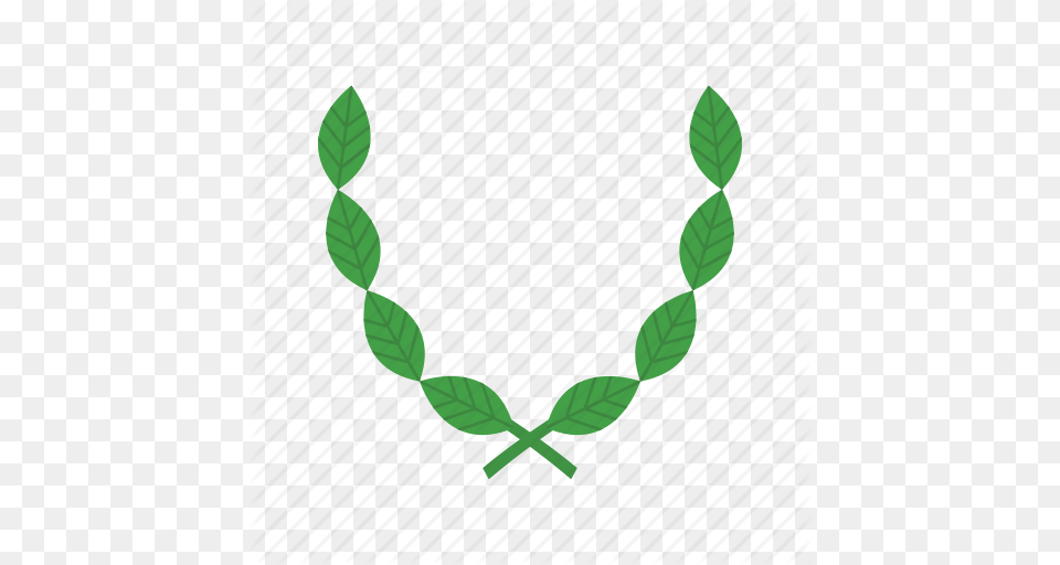 Decoration Floral Flower Frame Leaf Organic Wreath Icon, Green, Plant, Accessories Free Transparent Png