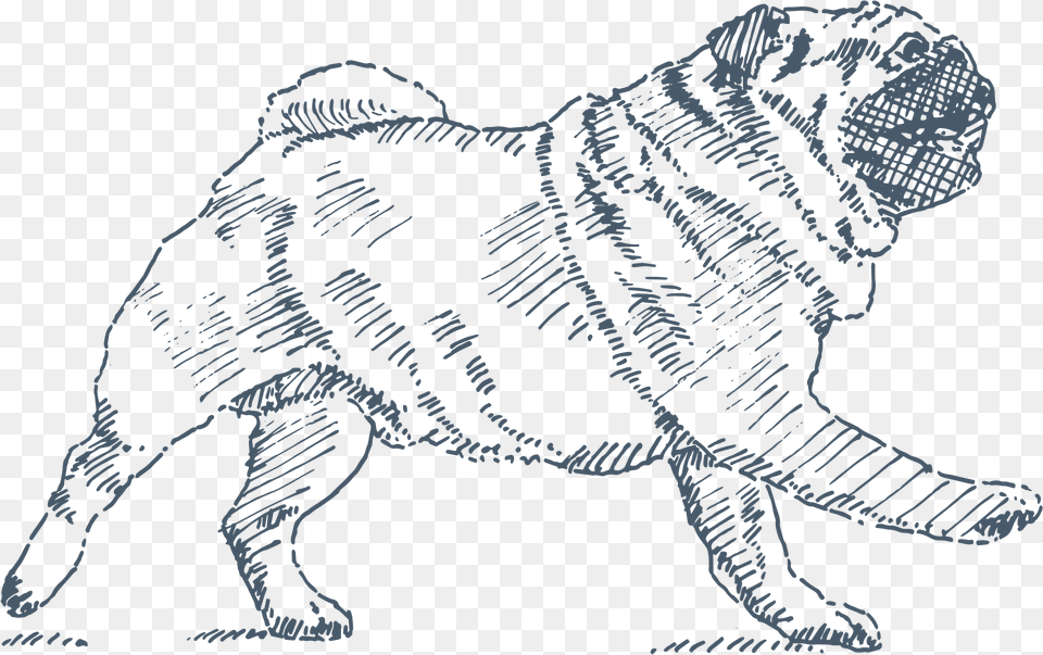 Decoration Icon Ancient Dog Breeds, Animal, Canine, Mammal, Pet Free Transparent Png