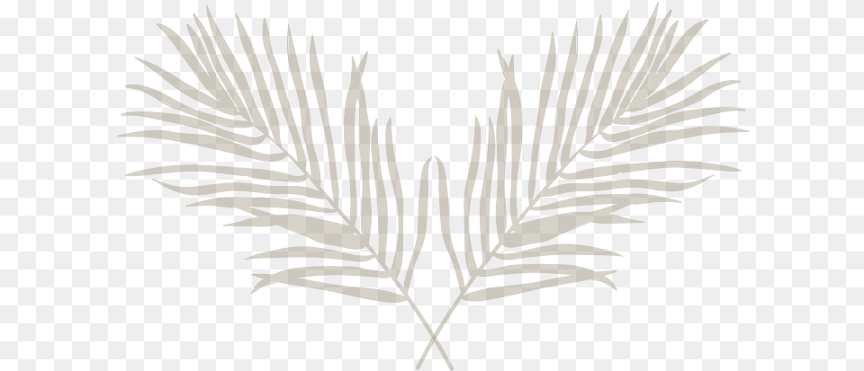 Decoration Icon Emblem, Leaf, Plant, Grass, Fern Free Png