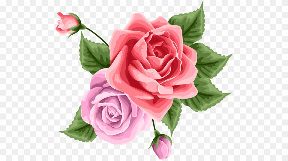 Decoration Rose Transparent, Flower, Plant Free Png Download