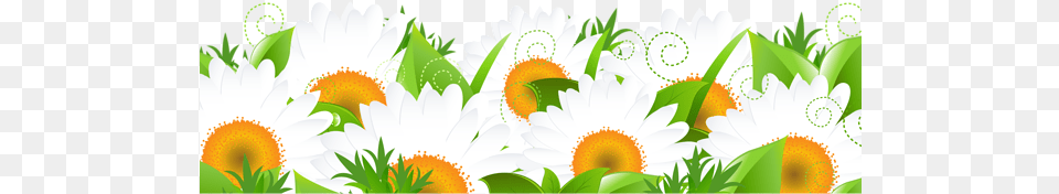 Decoration With Daisies Picture Vector Graphics, Art, Pattern, Green, Flower Free Transparent Png