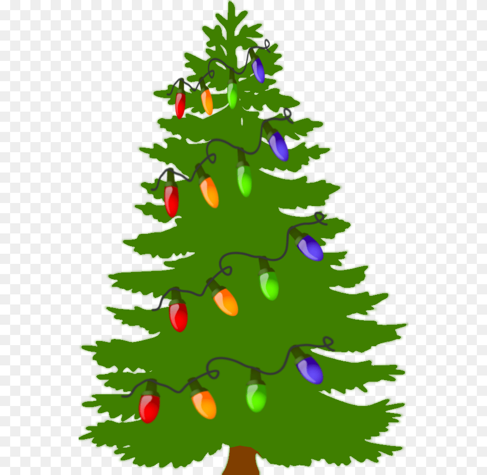 Decorations Clipart Christmas Tree, Plant, Pine, Christmas Decorations, Festival Free Png