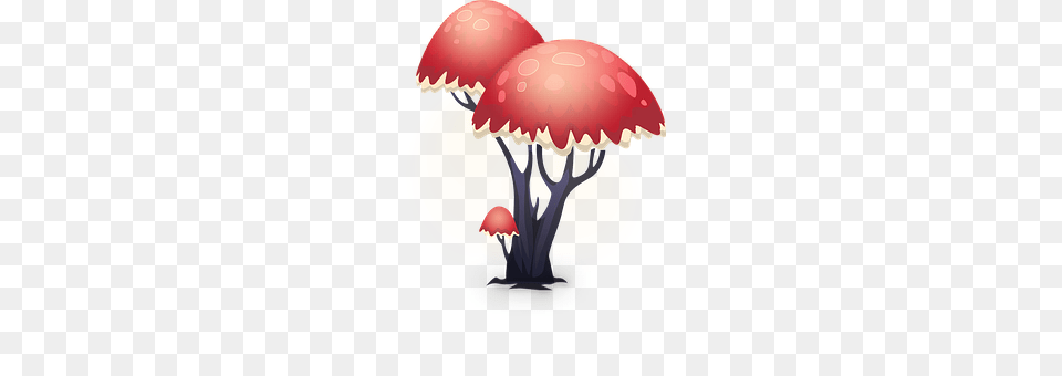 Decorative Agaric, Fungus, Mushroom, Plant Free Transparent Png