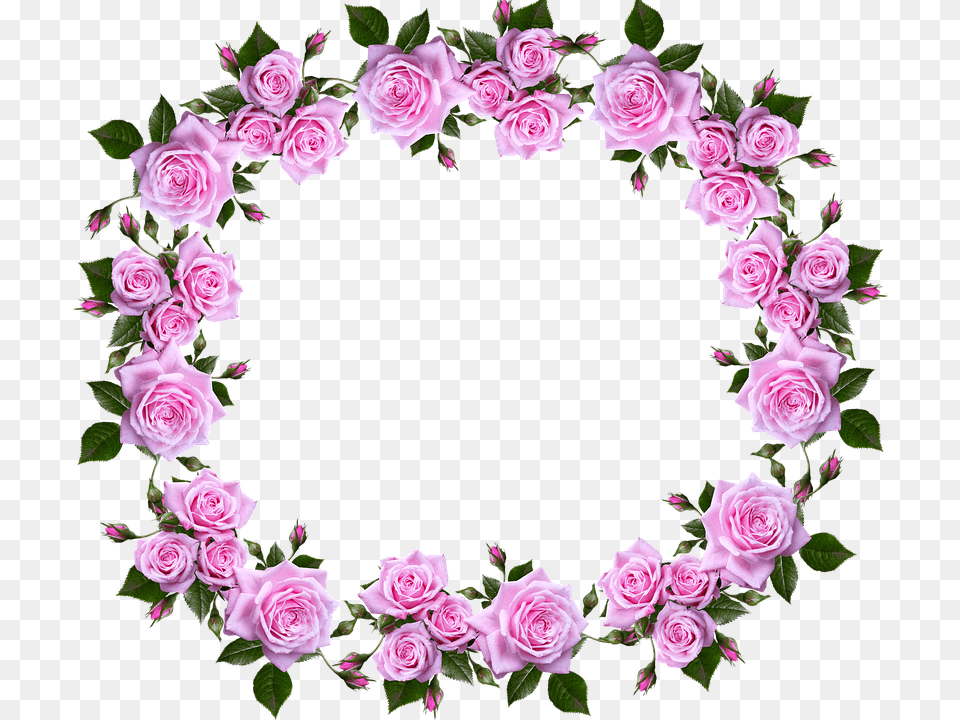 Decorative Border Border Design Rose Flower, Plant, Flower Arrangement, Pattern, Flower Bouquet Free Png