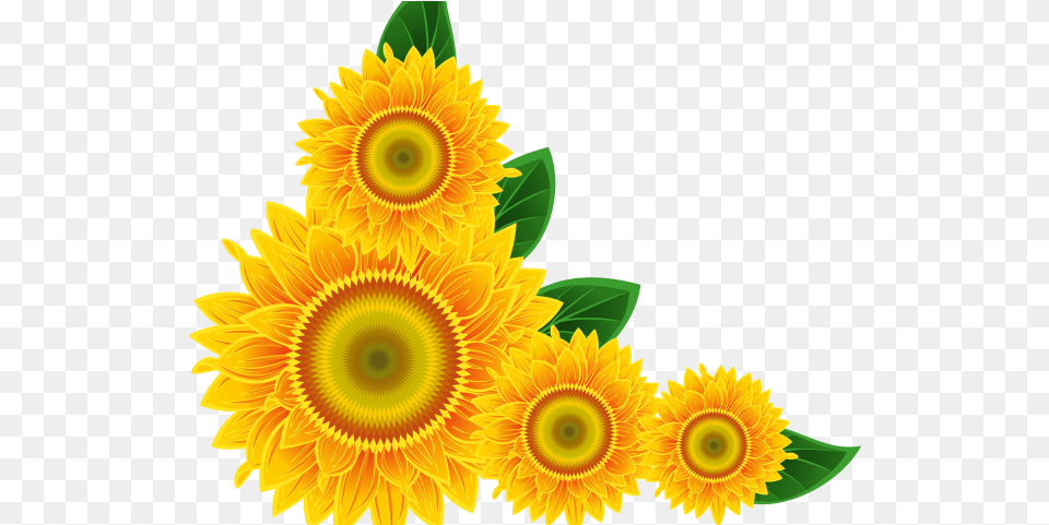 Decorative Border Clipart Corner Girassol Desenho, Flower, Plant, Sunflower, Pattern Free Transparent Png