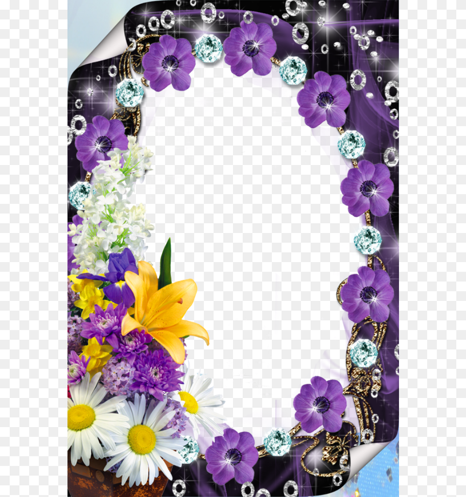 Decorative Border Clipart Purple, Art, Collage, Plant, Daisy Png