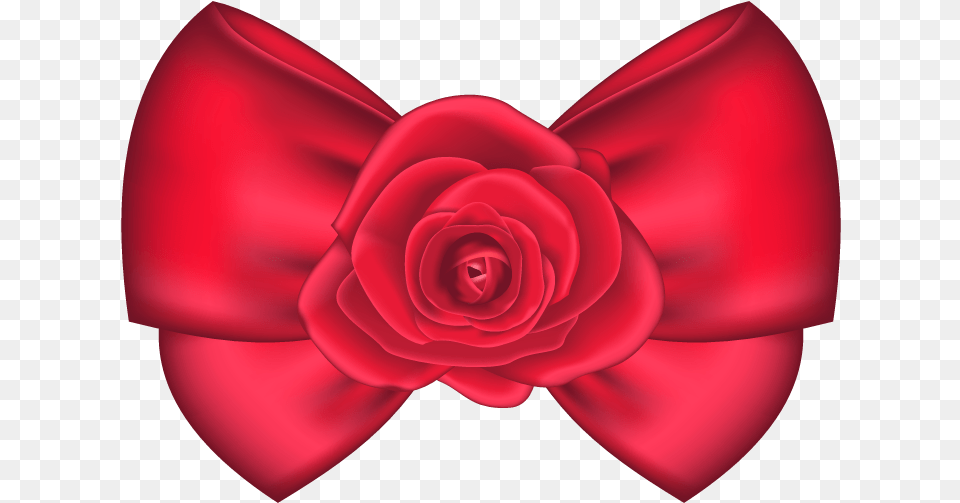 Decorative Bow With Rose Clipart Picture Rose Bow, Accessories, Flower, Formal Wear, Plant Free Png