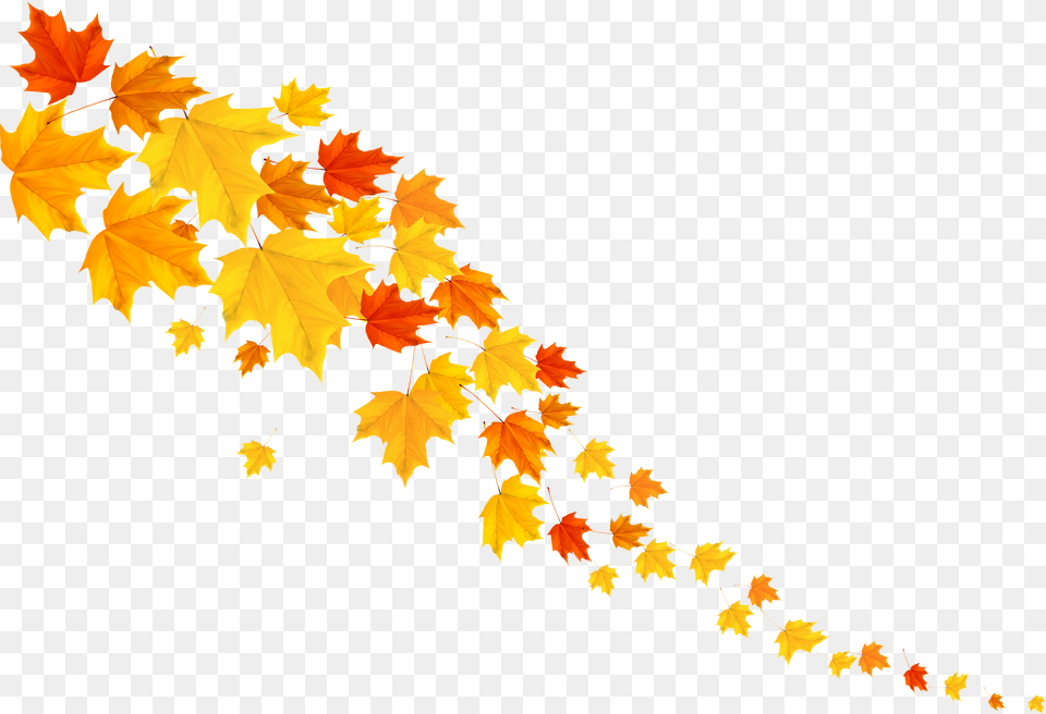 Decorative Clipart Autumn Fall Decoration, Leaf, Plant, Tree, Maple Free Png Download