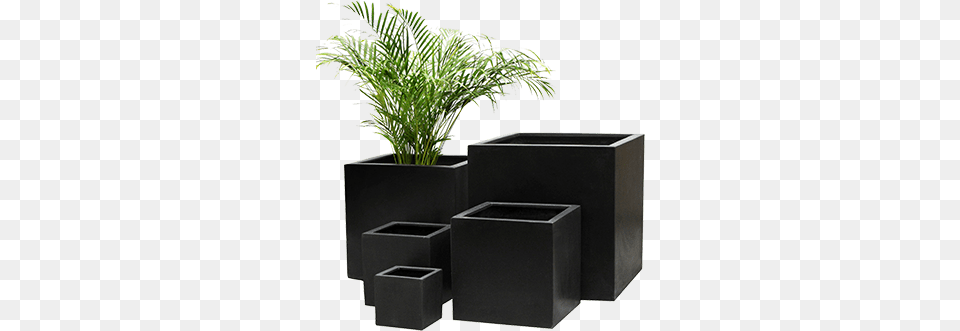 Decorative Containers Interior Plantscapes, Jar, Plant, Planter, Potted Plant Free Png