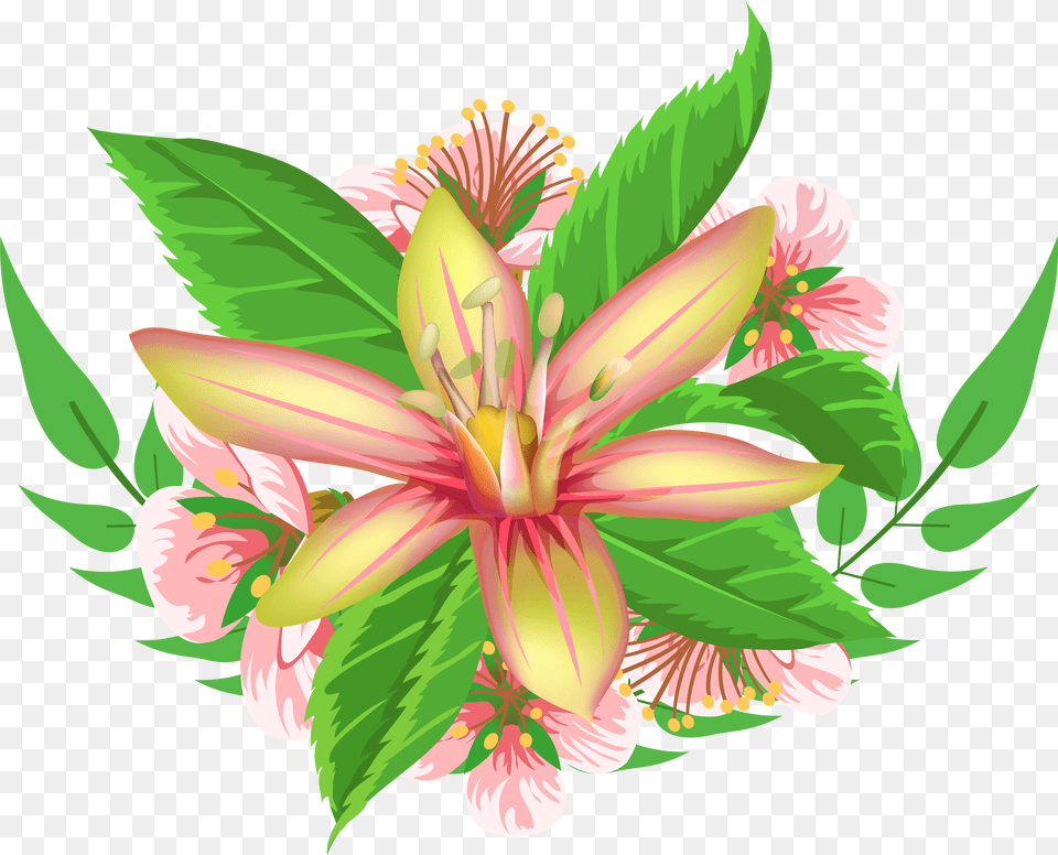 Decorative Element Image Stargazer Lily, Anther, Flower, Plant, Hibiscus Free Png
