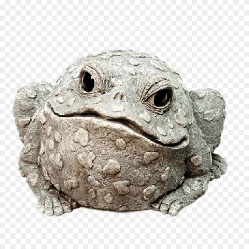 Decorative Garden Toad, Animal, Reptile, Sea Life, Tortoise Free Png Download