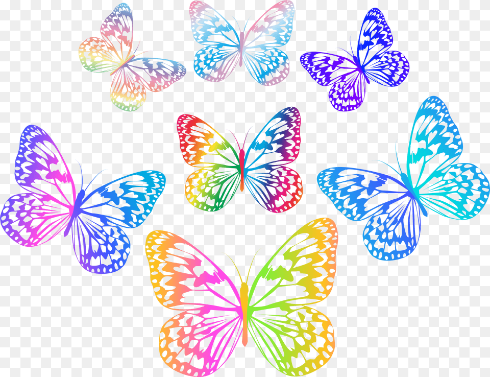 Decorative Multicolored Butterflies Clip Art Multi Colored Butterfly Hd, Plant, Pattern, Animal, Graphics Free Png Download