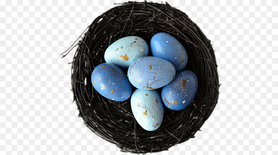 Decorative Nest With Blue Eggs, Egg, Food Free Transparent Png