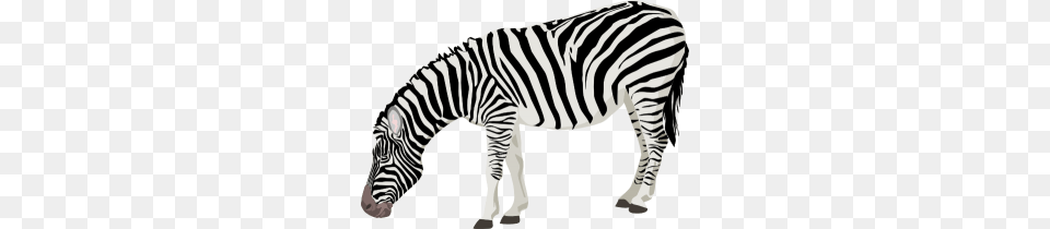 Decorative Painting Animals Zebra Clipart, Animal, Mammal, Wildlife Free Png Download