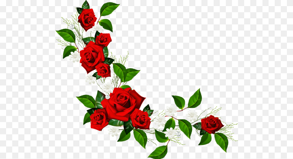 Decorative Rose Clipart Cvetia Flowers Red Roses, Flower, Flower Arrangement, Flower Bouquet, Plant Png