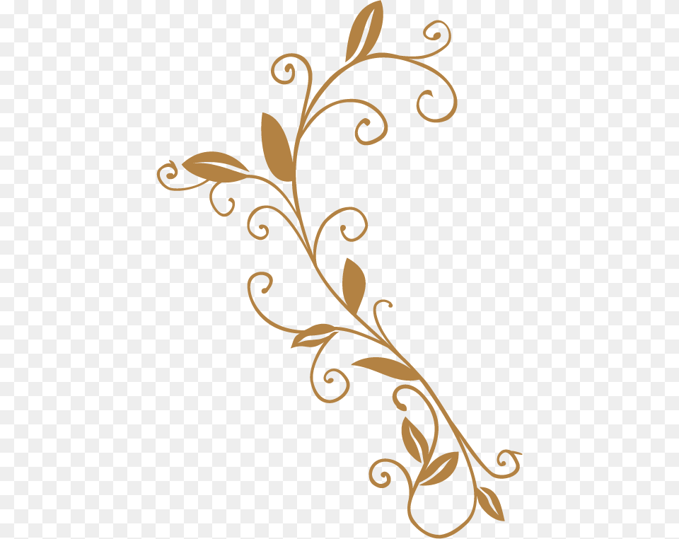 Decorative Scroll Motif, Art, Floral Design, Graphics, Pattern Png Image