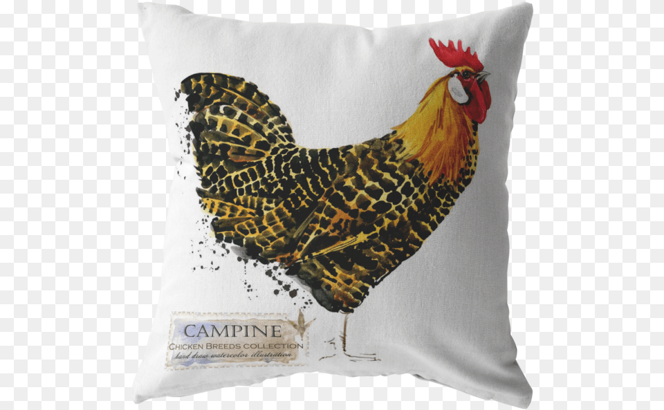 Decorative Throw Pillows Campine Chicken, Animal, Bird, Cushion, Fowl Free Transparent Png