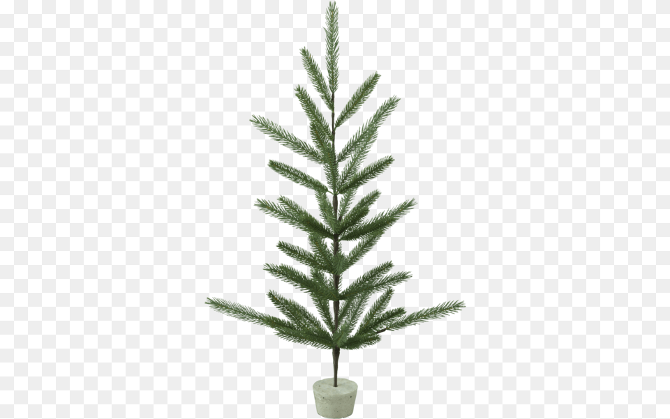 Decorative Tree Boda Best Season Weihnachtsbaum Boda Mit Betonfuss, Conifer, Fir, Plant, Pine Png