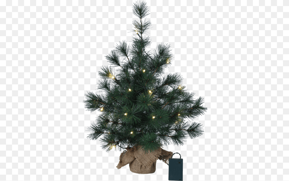 Decorative Tree Furu Indoor Christmas Tree W Leds, Plant, Pine, Christmas Decorations, Festival Free Png Download