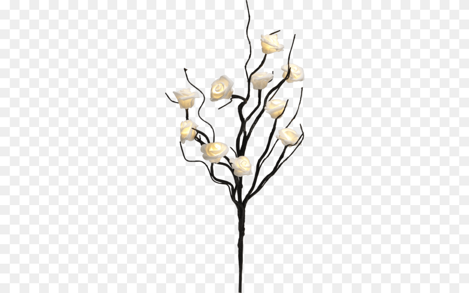 Decorative Twig Rosy, Flower, Flower Arrangement, Plant, Chandelier Png Image