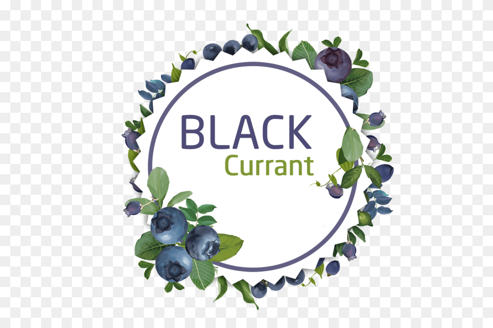 Decorative Watercolor Black Currant Wreath Stickers Decorative, Berry, Blueberry, Food, Fruit Png Image