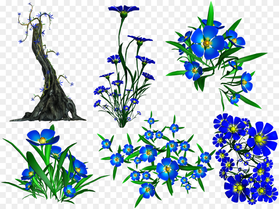 Decorbotanyclip Artflowering Plantgentian Familyscilla Transparency, Pattern, Flax, Flower, Plant Png