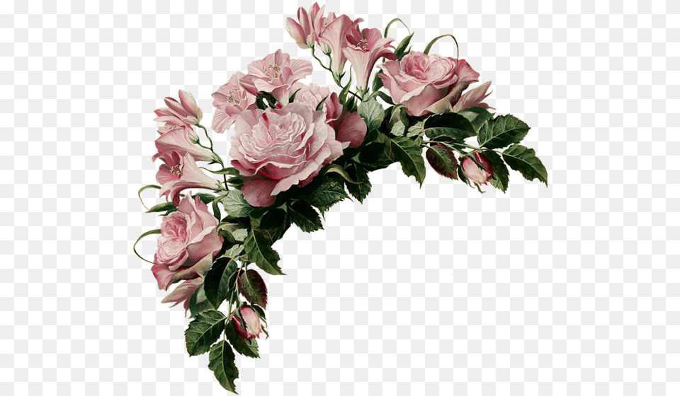Decoupage, Flower, Flower Arrangement, Flower Bouquet, Plant Png Image