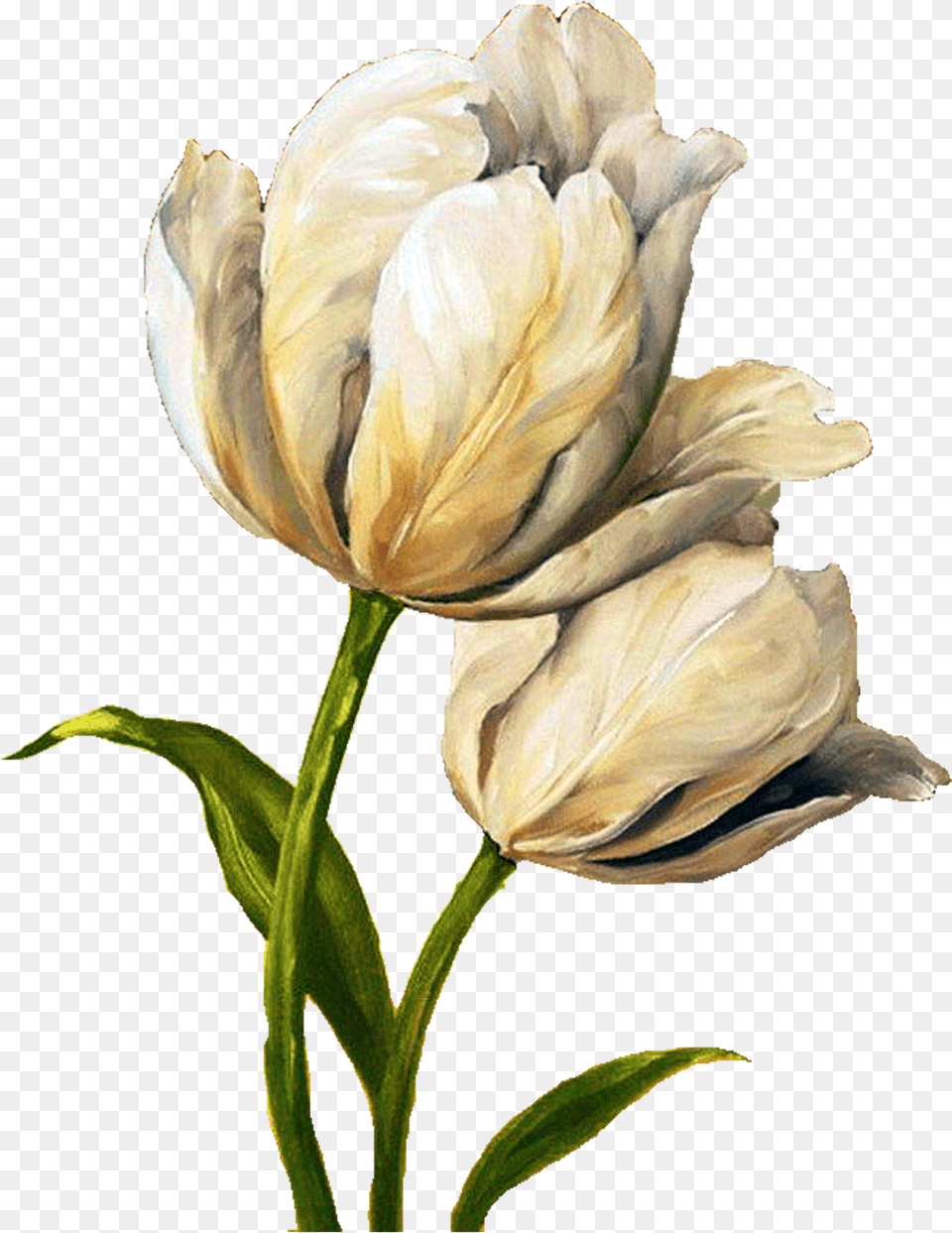 Decoupage Flower Painting Tulip Tulips Flower Yellow Paint, Petal, Plant Free Transparent Png