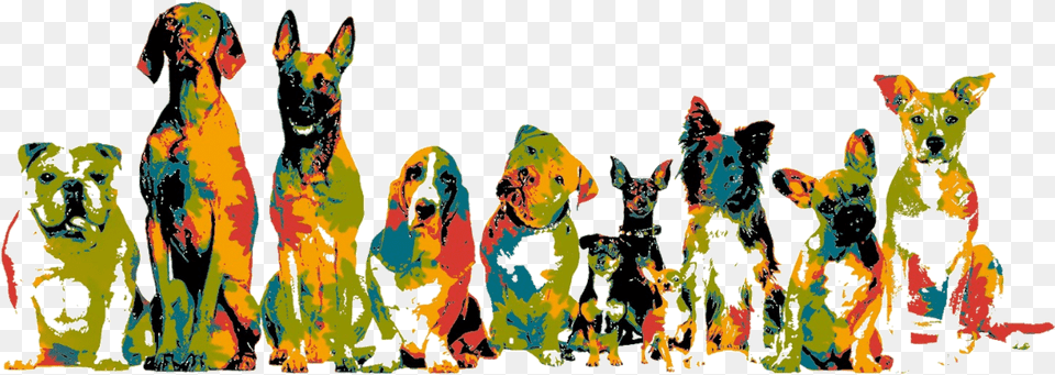 Dedicated To Helping Each Dog Find Dog Training All In One Startup Guide, Art, Modern Art, Person, Adult Free Png