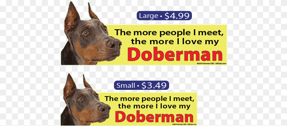 Deecals The More I Love My Doberman Dobermann, Snout, Animal, Canine, Dog Free Png