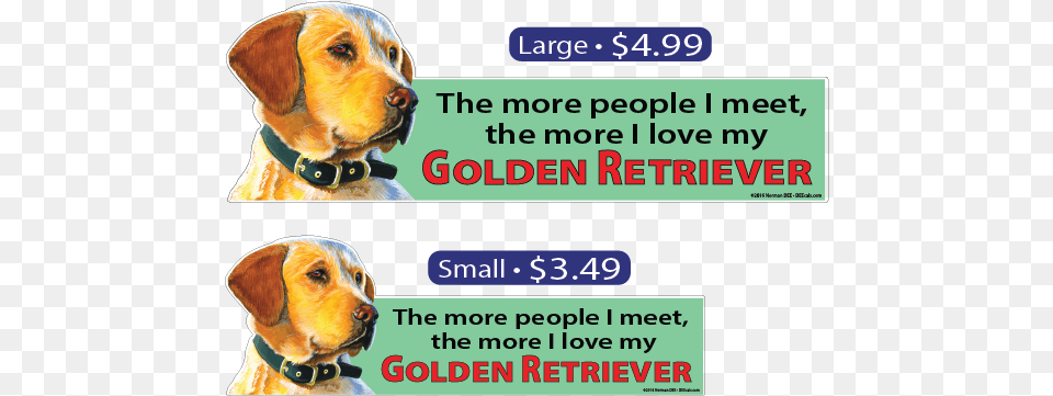 Deecals The More I Love My Golden Retriever Companion Dog, Animal, Canine, Mammal, Pet Free Transparent Png