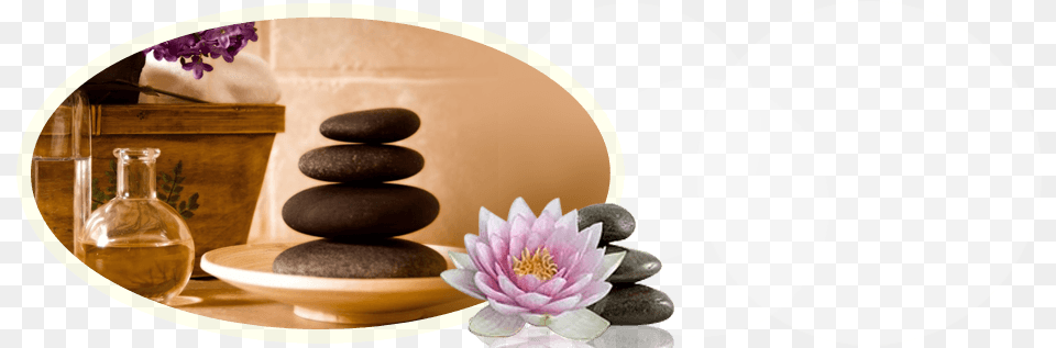Deep Body Tissue Massage Sacred Lotus, Pebble, Flower, Plant, Jar Free Png Download