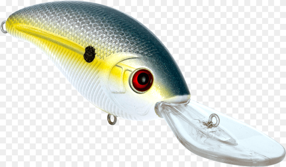 Deep Impact Fishing Lure, Animal, Fish, Fishing Lure, Sea Life Free Png Download