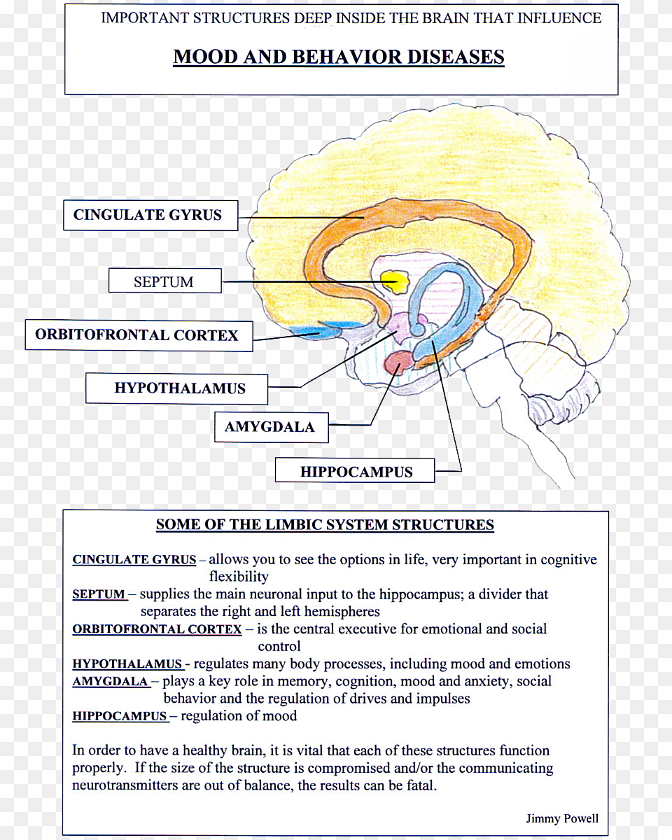 Deep Inside The Brain, Page, Text, Baby, Person Free Png