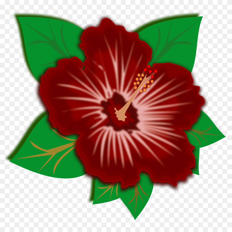 Deep Red Hibiscus Flower Clipart, Plant Png Image