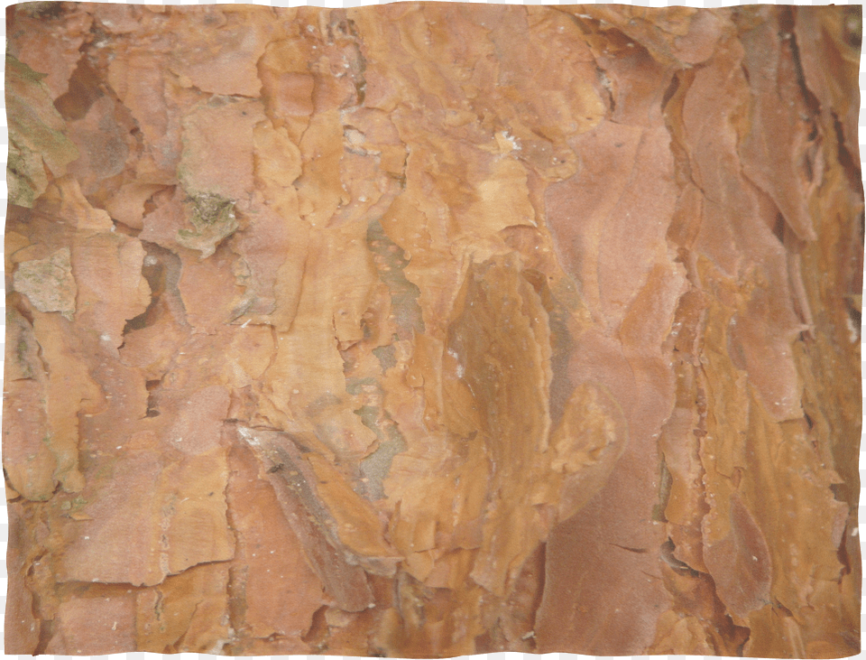 Deep Rust Tree Bark Plywood, Plant, Rock, Texture, Tree Trunk Free Png Download