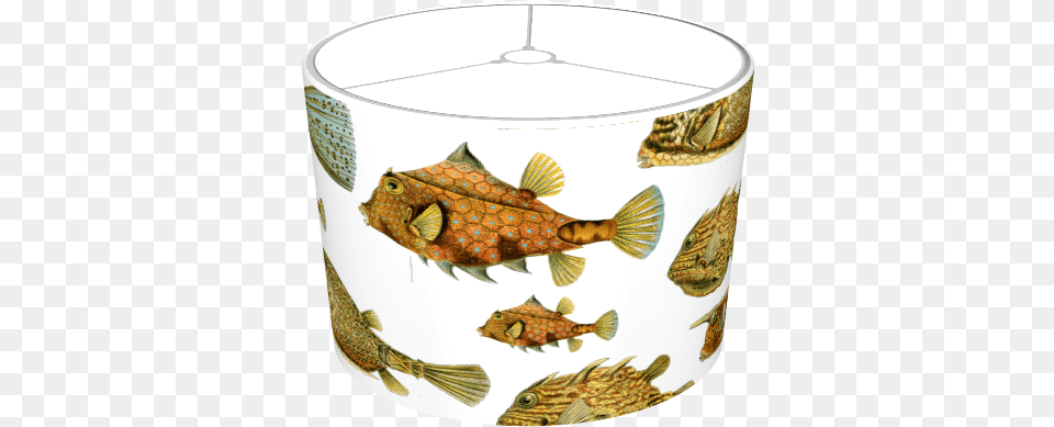 Deep Sea Fish Lamp Porcelain, Animal, Sea Life Png