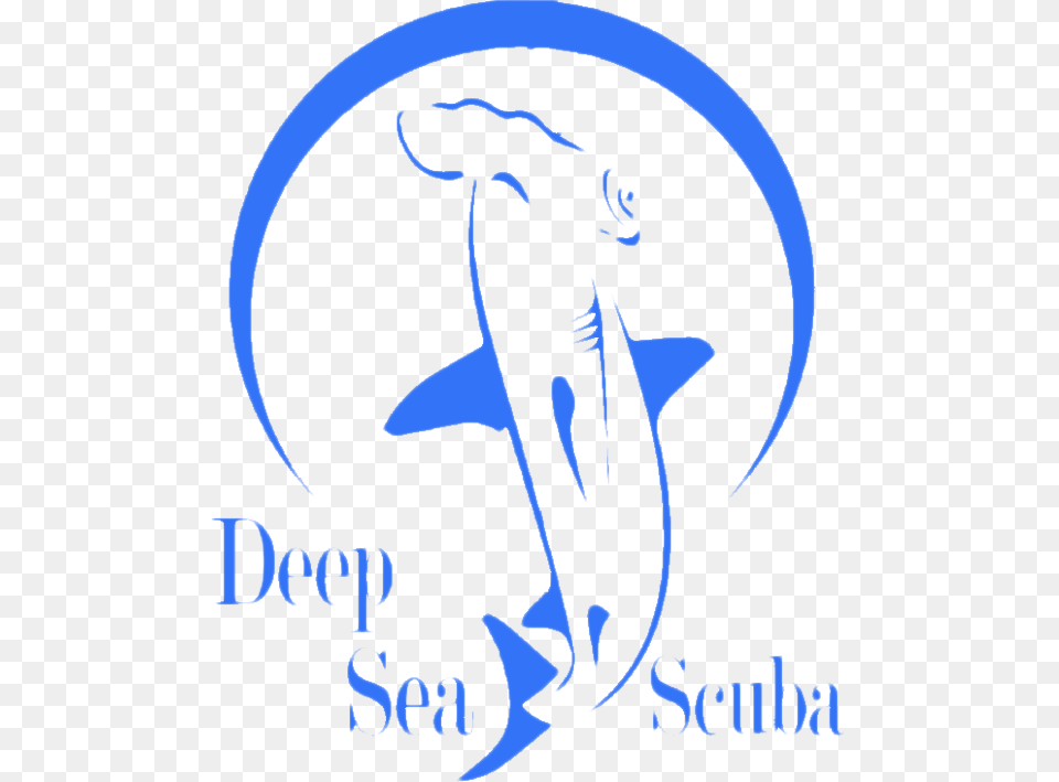 Deep Sea Scuba, Animal, Sea Life, Person, Fish Png Image