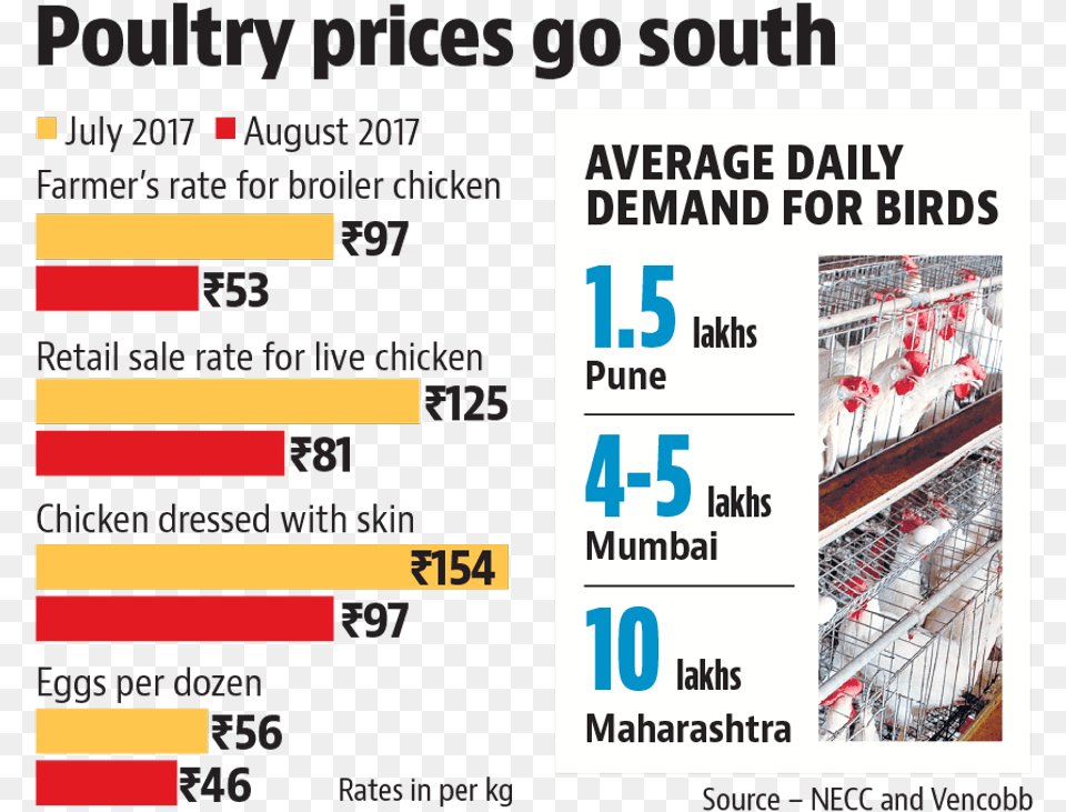 Deepak Chavan Expert From Poultry Sector Said That Number, Animal, Bird, Chicken, Fowl Free Png