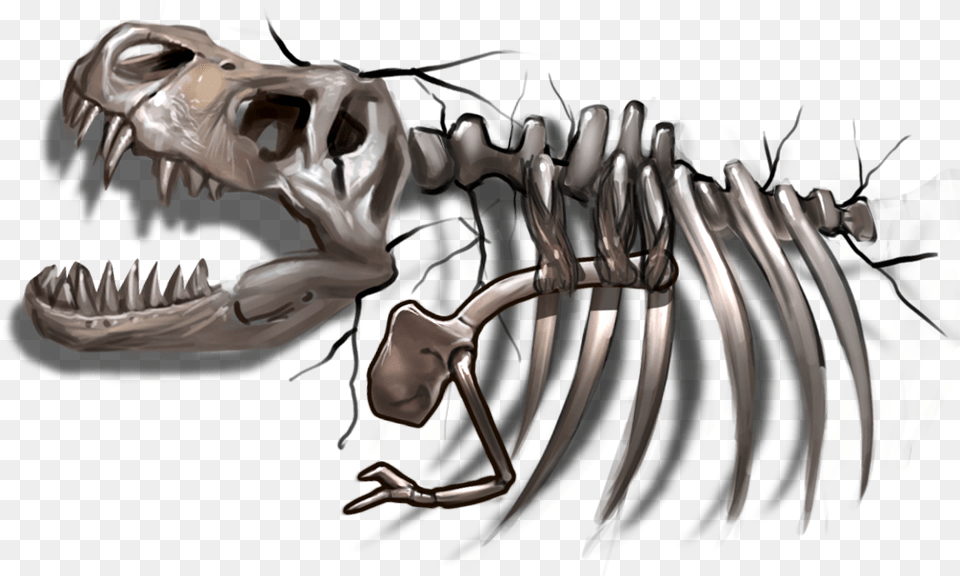 Deepworld Skull, Animal, Dinosaur, Reptile Png