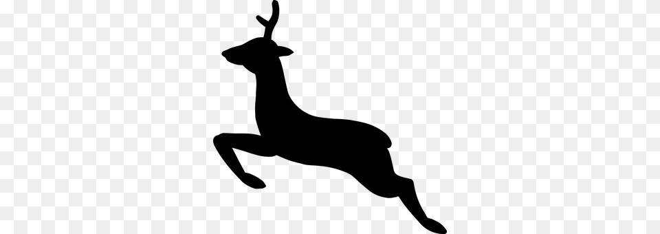 Deer Gray Png Image