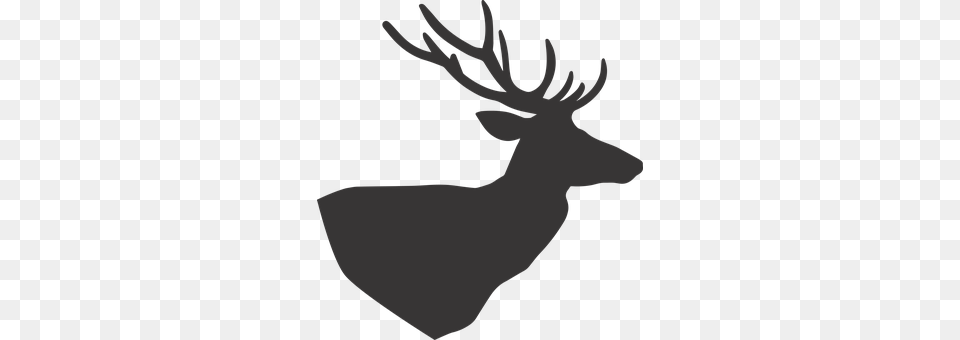 Deer Animal, Elk, Mammal, Wildlife Png