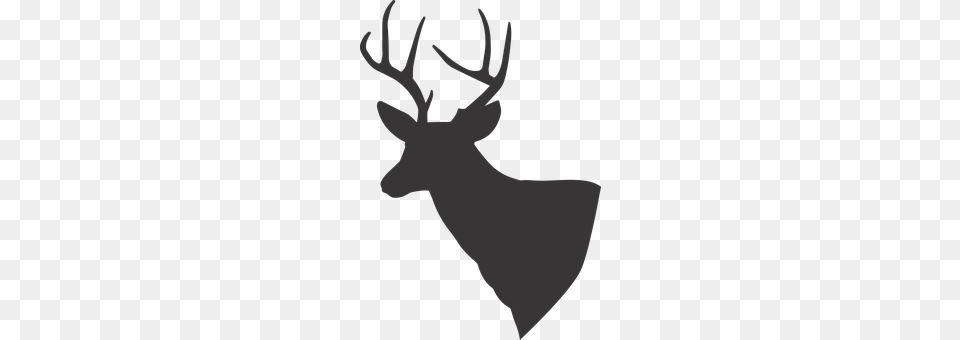 Deer Animal, Elk, Mammal, Wildlife Png