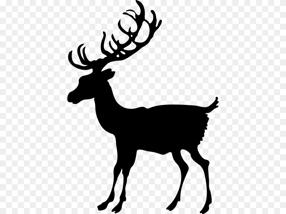 Deer, Gray Png Image