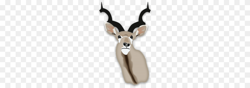 Deer Animal, Mammal, Wildlife, Antelope Free Png Download