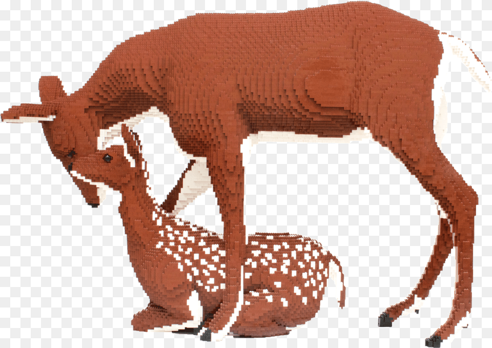 Deer, Animal, Mammal, Wildlife, Person Png Image