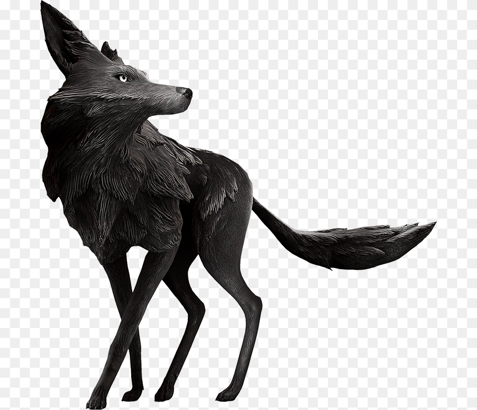 Deer, Animal, Coyote, Mammal, Wolf Png