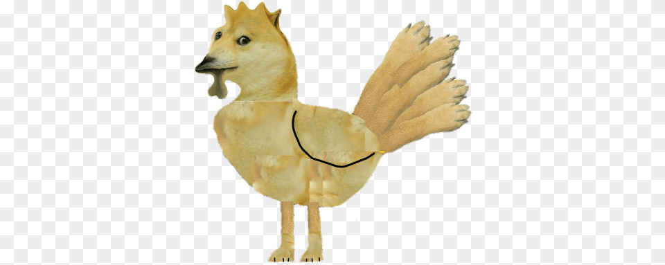 Deer, Animal, Bird Png