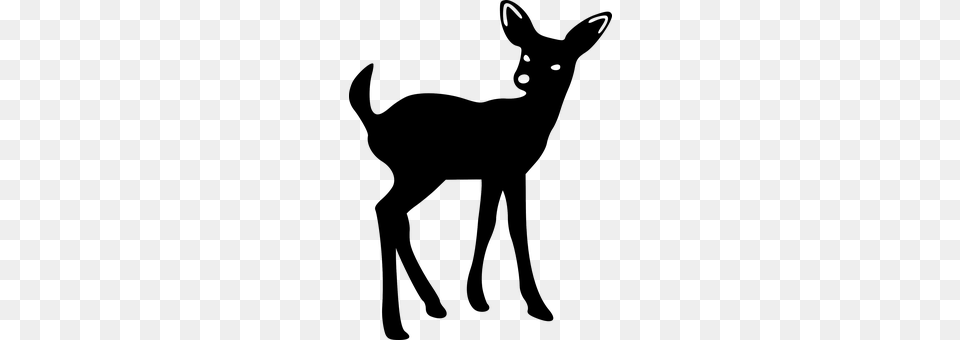 Deer Animal, Mammal, Wildlife Free Png