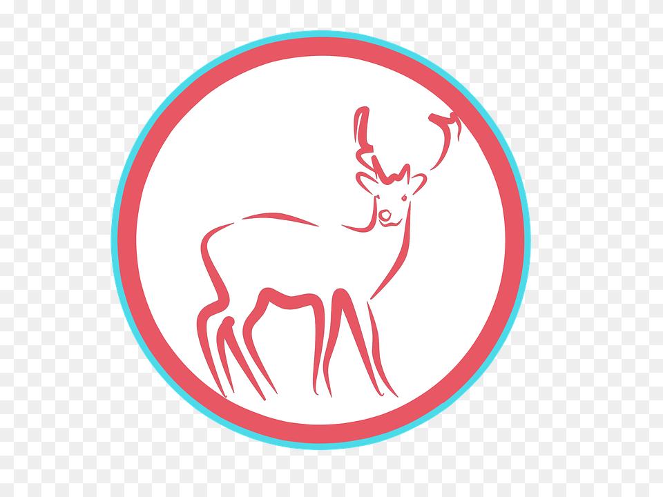 Deer Animal, Mammal, Wildlife, Antelope Free Transparent Png